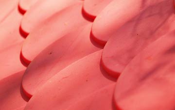 Angle plastic roof costs